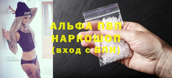 индика Зеленокумск