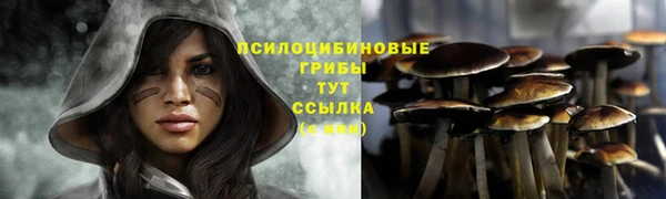 синтетический гашиш Зеленодольск