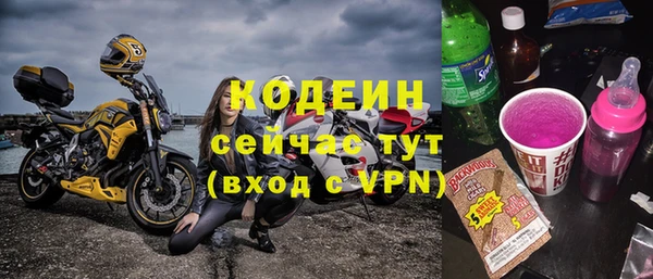индика Зеленокумск