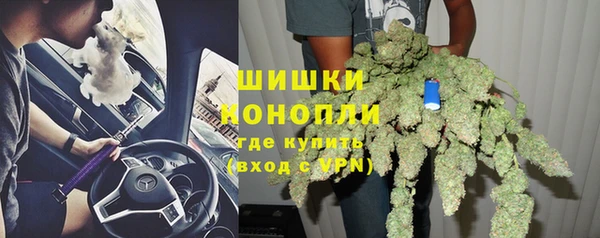 индика Зеленокумск