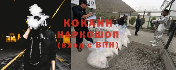 индика Зеленокумск
