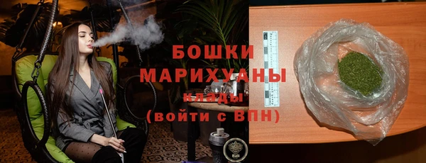 индика Зеленокумск