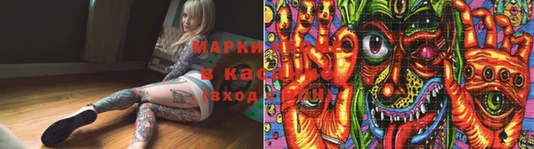 индика Зеленокумск